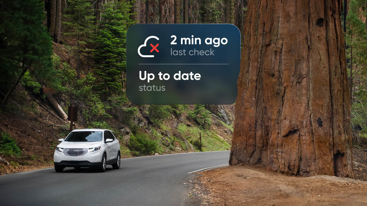 A white car drives on a forest road past a giant tree. A digital overlay shows a cloud icon and text indicating a recent status check.