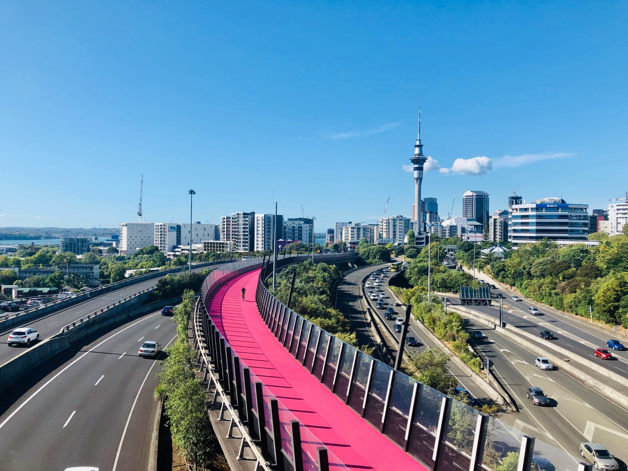 A vibrant pink pedestrian and cyclist path winding above the roadways, with a view of Auckland's skyline and the Sky Tower in the background.