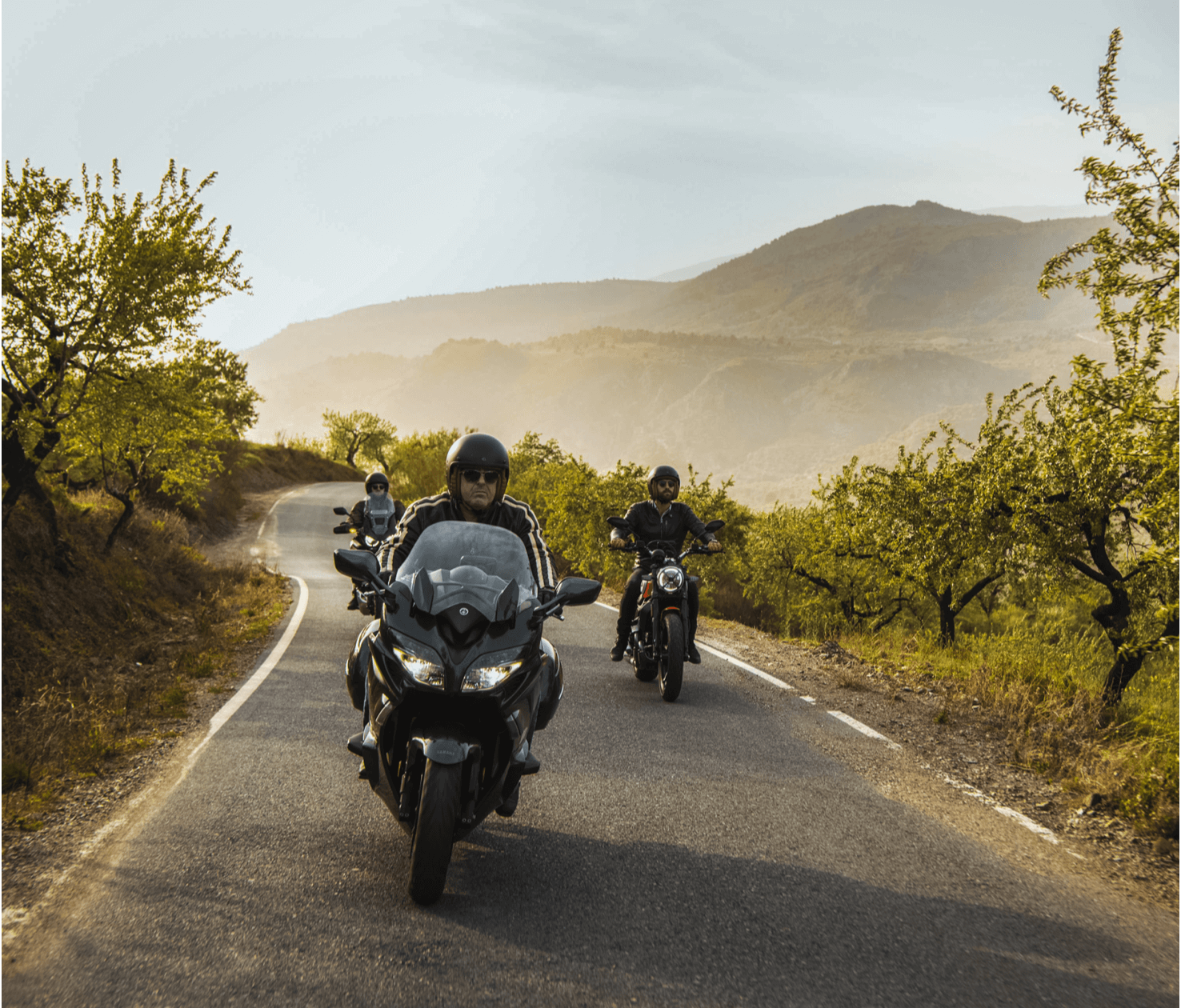 A group of drivers on the road