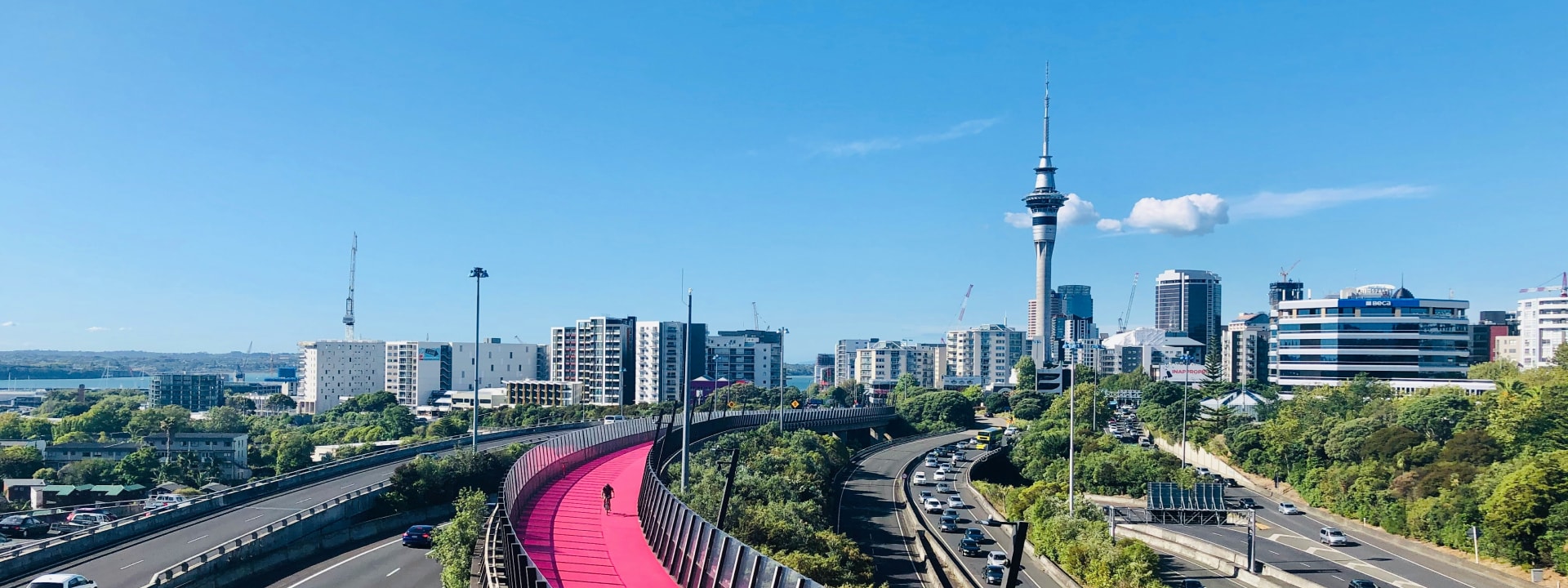 A vibrant pink pedestrian and cyclist path winding above the roadways, with a view of Auckland's skyline and the Sky Tower in the background.