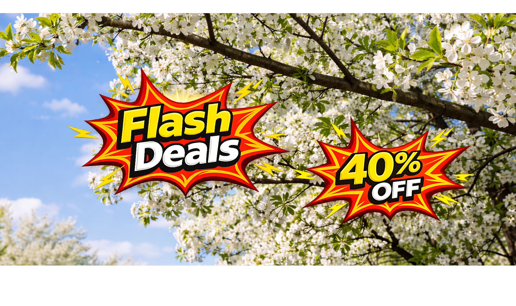 Flash deals banner