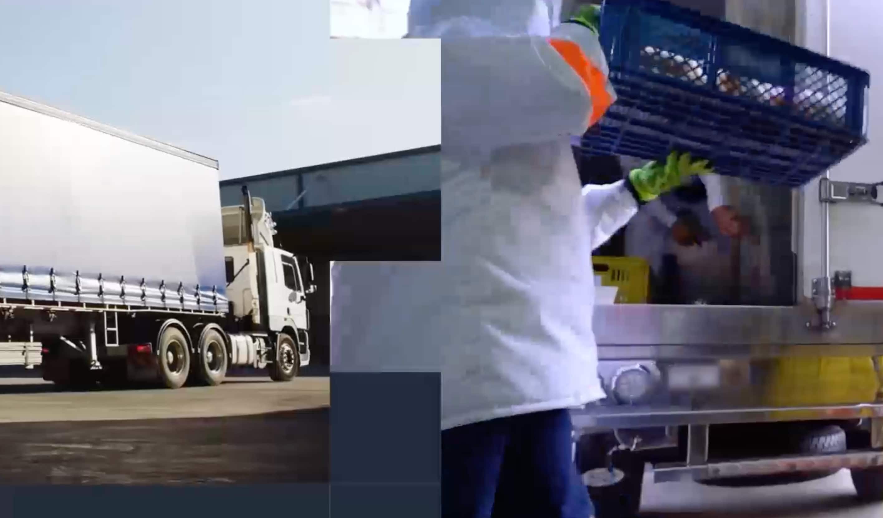 A white delivery truck parked at a loading dock alongside a person in a white coat loading a blue crate into another vehicle.